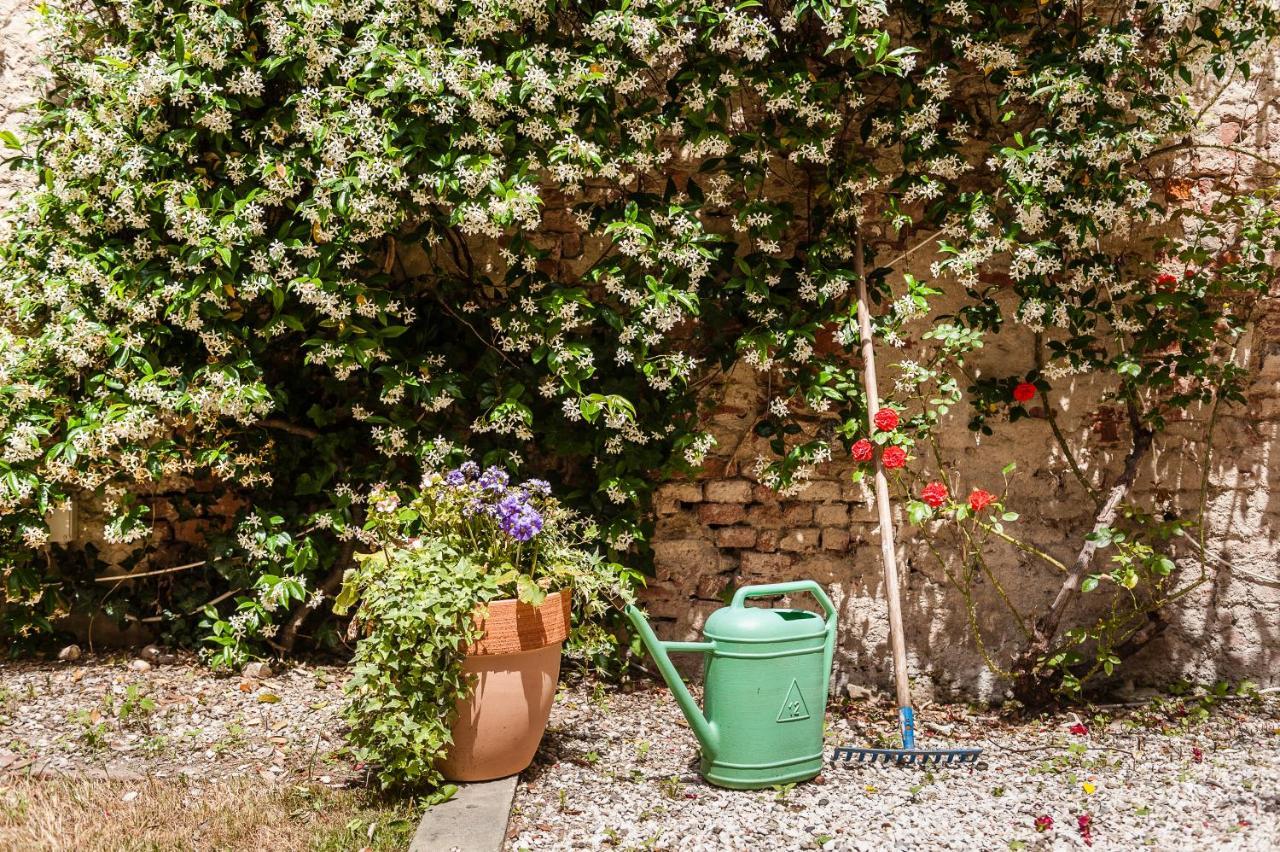 شقة Hostly - Garden House Near The Tower - Historical House With Private Garden بيزا المظهر الخارجي الصورة
